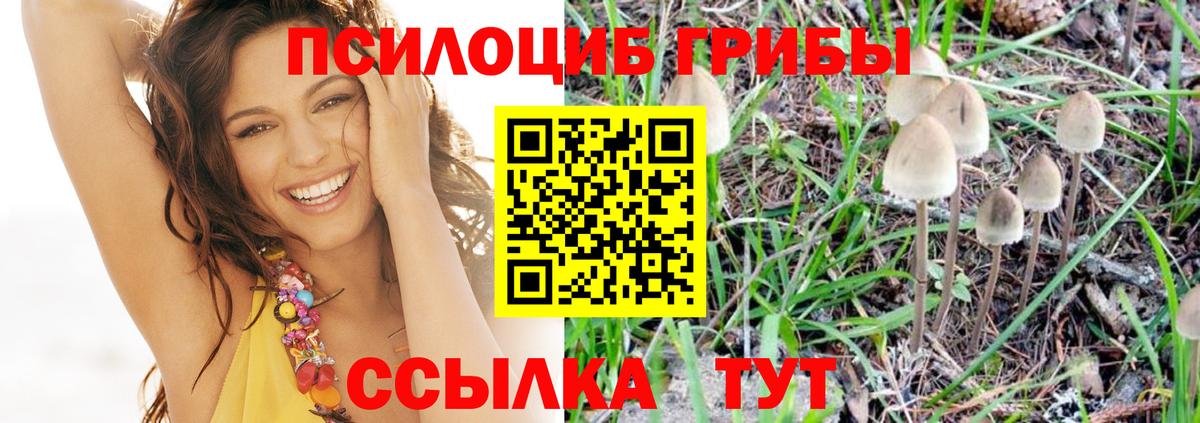 Галлюциногенные грибы ЛСД Калач-на-Дону